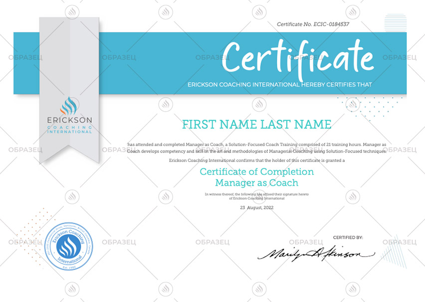 Coachmanagment 2022.jpg Coachmanagment 2022.jpg