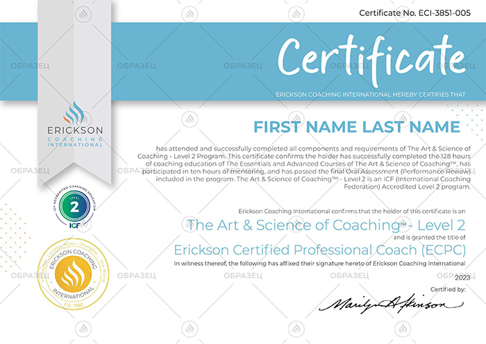 LEVEL 2 certificate 2023.jpg